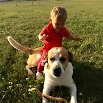 Gasthof Karam Vendeghaz Es Lakasetterem Nagybajcs