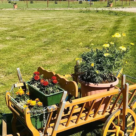 Karám és Lakásétterem Casa de hóspedes 4*