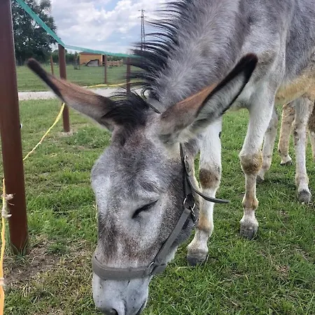 Karám és Lakásétterem Nagybajcs