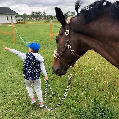 Casa de hóspedes Karám és Lakásétterem 4*