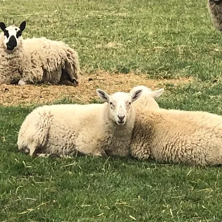 Casa de hóspedes Karám és Lakásétterem