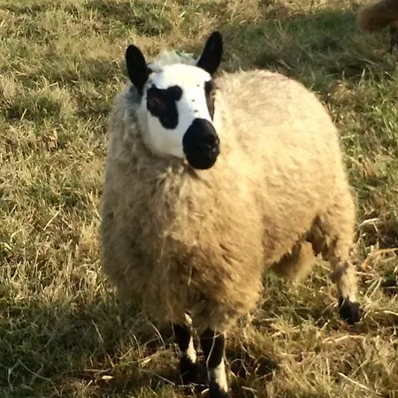 Karám és Lakásétterem Casa de hóspedes