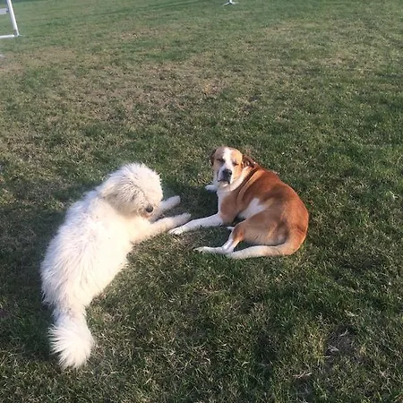 Casa de hóspedes Karám és Lakásétterem