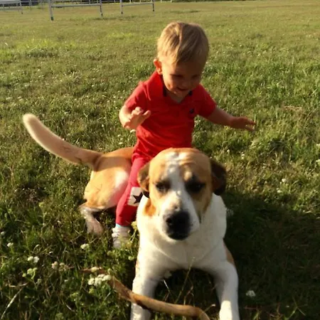 Casa de hóspedes Karám és Lakásétterem Nagybajcs