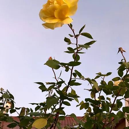 Karám és Lakásétterem Casa de hóspedes