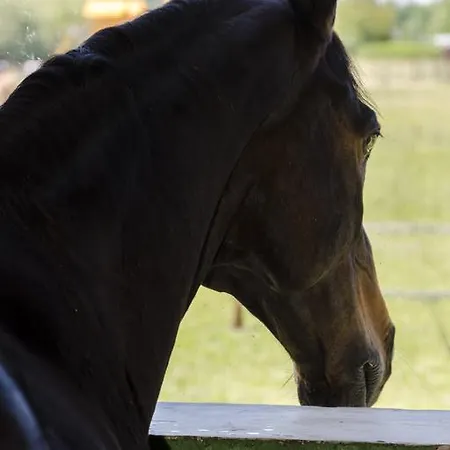 Karám és Lakásétterem