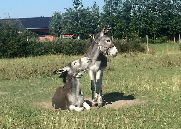 Karám és Lakásétterem 4* Nagybajcs